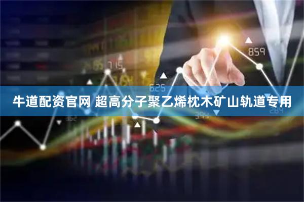 牛道配资官网 超高分子聚乙烯枕木矿山轨道专用