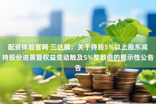 配资体验官网 三达膜：关于持股5%以上股东减持股份进展暨权益变动触及5%整数倍的提示性公告