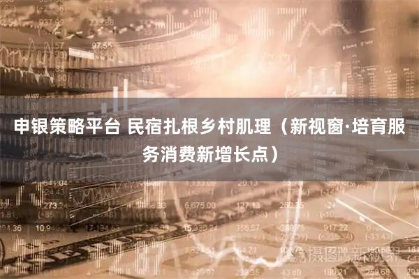 申银策略平台 民宿扎根乡村肌理（新视窗·培育服务消费新增长点）