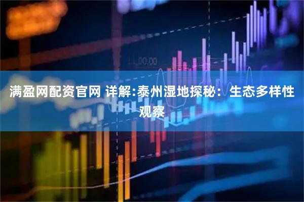 满盈网配资官网 详解:泰州湿地探秘：生态多样性观察