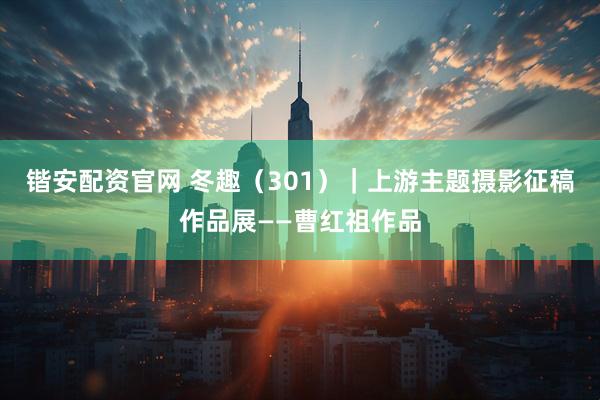 锴安配资官网 冬趣（301）｜上游主题摄影征稿作品展——曹红祖作品