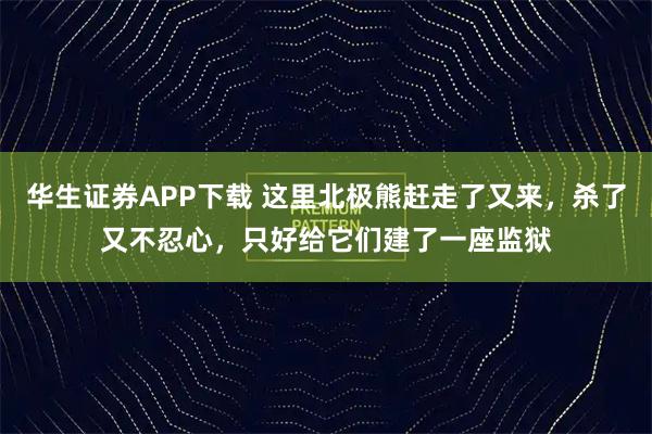 华生证券APP下载 这里北极熊赶走了又来，杀了又不忍心，只好给它们建了一座监狱