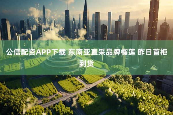 公信配资APP下载 东南亚直采品牌榴莲 昨日首柜到货