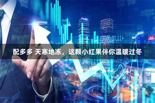 配多多 天寒地冻，这颗小红果伴你温暖过冬